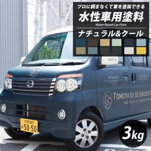 車 塗料 自動車塗料 水性塗料 全塗装 DIY 自分で 艶消し マット カーペイント Dippin'Paint ナチュラル&クール 3kg 12色