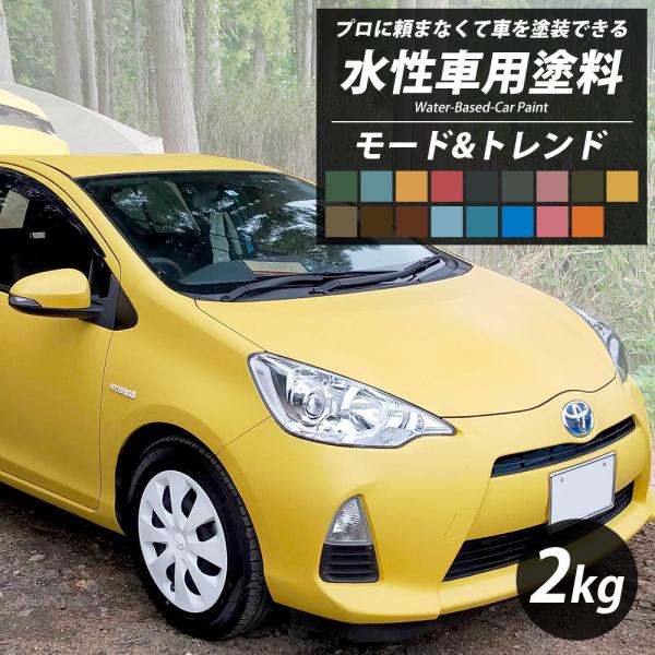 車 塗料 自動車塗料 水性塗料 全塗装 DIY 自分で 艶消し マット カーペイント Dippin'...