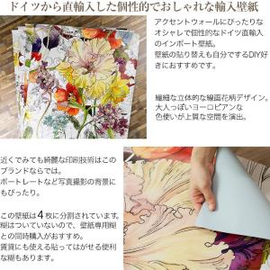 4 1 壁紙 ドイツ製 Kger067 おしゃれカーテンのインテリアデポ おしゃれな輸入壁紙 紙 花柄 花柄 クロス ドイツ製 Flora フローラ