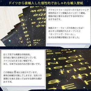 送料無料 8 487 8 487 おしゃれな輸入壁紙 ドイツ製 Intro ドイツ製 クロス Wars スターウォーズ Star Kgerd002 おしゃれカーテンのインテリアデポ Diy 工具 紙