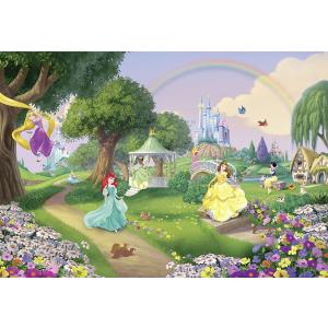 壁紙 おしゃれ ディズニー Diy 工具 プリンセス 張り替え 8 449 自分で Diy 内装 クロス 輸入壁紙 Princess Rainbow 8 449 紙製 Kgerd037 おしゃれカーテンのインテリアデポ
