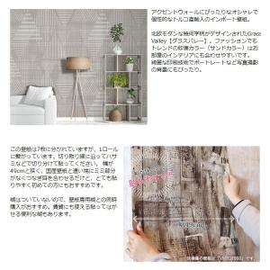 壁紙 2581 001 クロス インポート壁紙 Kpera028 おしゃれカーテンのインテリアデポ 2581 001 不織布 クロス Valley 貼って剥がせる 住宅設備 Grass Wallpera おしゃれな輸入壁紙