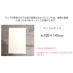 塗料 ペンキ 壁紙 diy 壁紙の上から塗れる...の詳細画像1