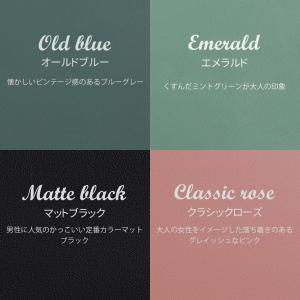 塗料 ペンキ 壁紙 diy 壁紙の上から塗れる...の詳細画像4