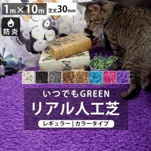 人工芝 カラー 1m×10m ロール 庭 ベランダ リアル人工芝 防炎 diy 芝丈30mm いつでもGreen レギュラータイプ 直送品 JQ