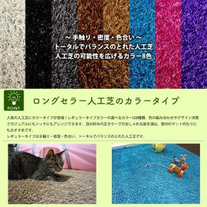 人工芝 カラー 1m×10m ロール 庭 ベラ...の詳細画像2