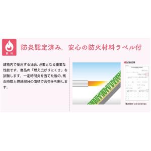 人工芝 カラー 1m×10m ロール 庭 ベラ...の詳細画像3