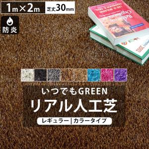人工芝 カラー 1m×2m ロール 庭 ベランダ リアル人工芝 防炎 diy 芝丈30mm いつでもGreen レギュラータイプ 直送品 JQ