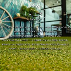 人工芝 ロール diy 庭 リアル人工芝 1m...の詳細画像1