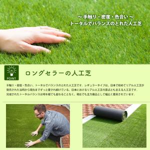 人工芝 ロール diy 庭 リアル人工芝 1m...の詳細画像2