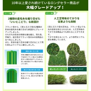 人工芝 ロール diy 庭 リアル人工芝 1m...の詳細画像4