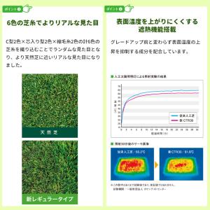 人工芝 ロール diy 庭 リアル人工芝 1m...の詳細画像5