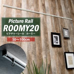 ピクチャーレール 壁 天井 DIY ディスプレイ 標準セット