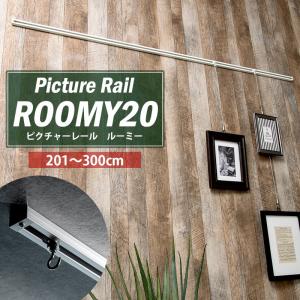 ピクチャーレール セット 天井 壁付け 3mまで アッパーモデル ルーミー20 JQ