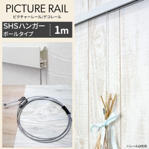 ピクチャーレール 部材 ワイヤー SHSハンガー...の商品画像