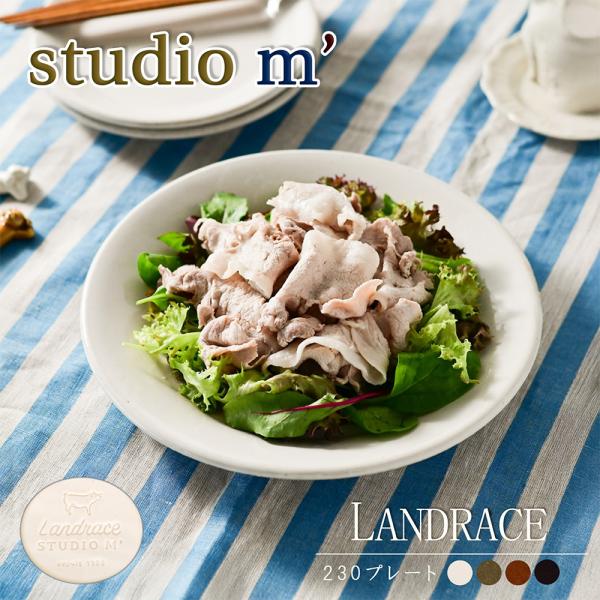 スタジオエム｜マルミツポテリ｜ ランドレース 230プレート 白 アメ オリーブ ビター 23cm皿...