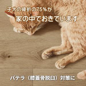 ペット用クッションフロア 消臭 抗菌 防キズ 足腰にやさしい 犬 猫 フロアマット（ラスティックオーク柄） オーダー 幅〜180ｃｍまでＸ長さ161〜200ｃｍまで