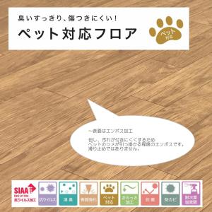 ペット カーペット 消臭 抗菌 防キズ はっ水...の詳細画像2