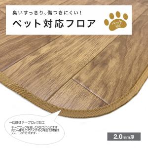 ペット カーペット 消臭 抗菌 防キズ はっ水...の詳細画像3