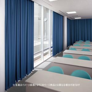 スミノエ 防炎 暗幕カーテン 遮光1〜2級 ウォッシャブル ECOソラリス