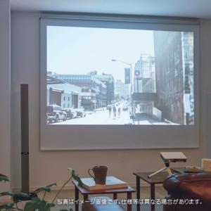 タチカワ ロールスクリーン ロールカーテン ラルク 防炎 遮光1級 プロジェクタースクリーン フェア2 RS1526 幅81〜120cmＸ丈30〜49cmまで（シールドなし）