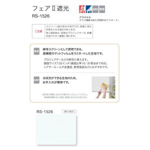タチカワ ロールスクリーン ロールカーテン ラ...の詳細画像1