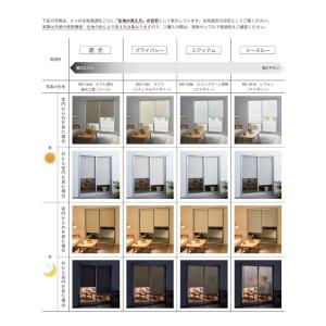 タチカワ ロールスクリーン ロールカーテン ラ...の詳細画像5