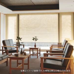 タチカワブラインド タチカワ ロールスクリーン ロールカーテン ラルク