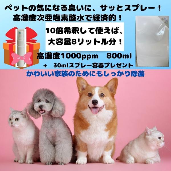 ペット消臭剤次亜塩素酸水高濃度1000ppm800ml　ペット臭を消す方法　希釈　ペット臭消臭スプレ...