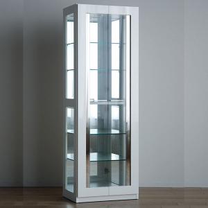 コレクションケース コレクションボード キュリオケース ディスプレイ