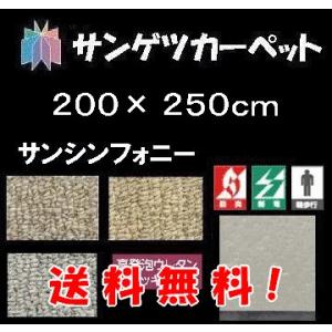 カーペット じゅうたん ラグカーペット サンゲツカーペットサンシンフォニー ラグサイズ 200cm×250cm