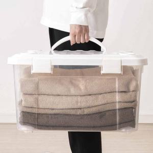 天馬 収納ボックス 幅50×奥行36×高さ29cm フタ付き 持ち手付き