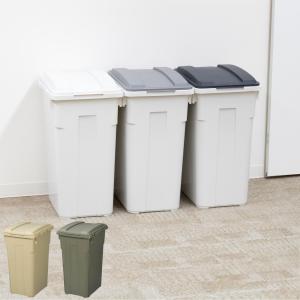 ゴミ箱 45L 連結カラー分別ペール 屋外兼用 （ ごみ箱 45リットル ふた付き 角型 屋外 連結 大容量 プラスチック キッチン ）