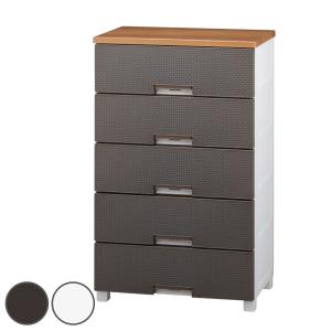 Fits チェスト フィッツプラス メッシュ 5段 幅65×奥行41×高さ105cm