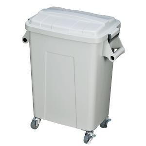ゴミ箱 業務用 45L 厨房ダストペール ( ご...の商品画像