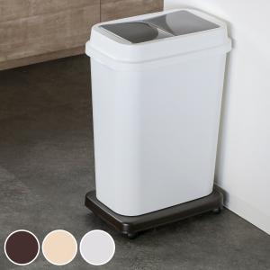 平台車 L キャスター付き 家庭用 押入れ ラクゴロ