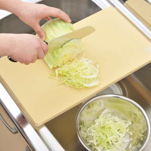 住友プラスチックまな板 （業務用） SX : 厨房用品 安吉 - 通販