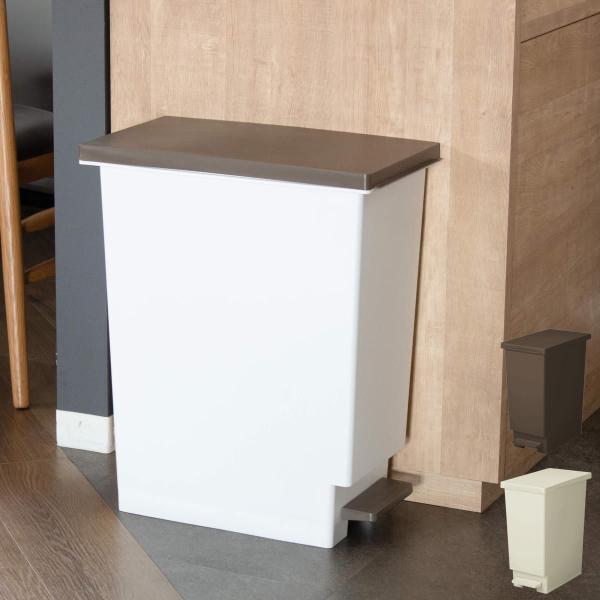 ゴミ箱 45L スリムペダル ふた付き （ ごみ箱 45リットル スリム ペダル キッチン 分別 ダ...