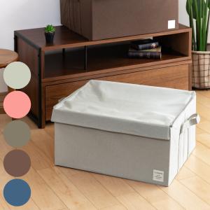 東洋ケース（TOYOCASE） 収納ボックス ストレリアナチュレ LL 幅53