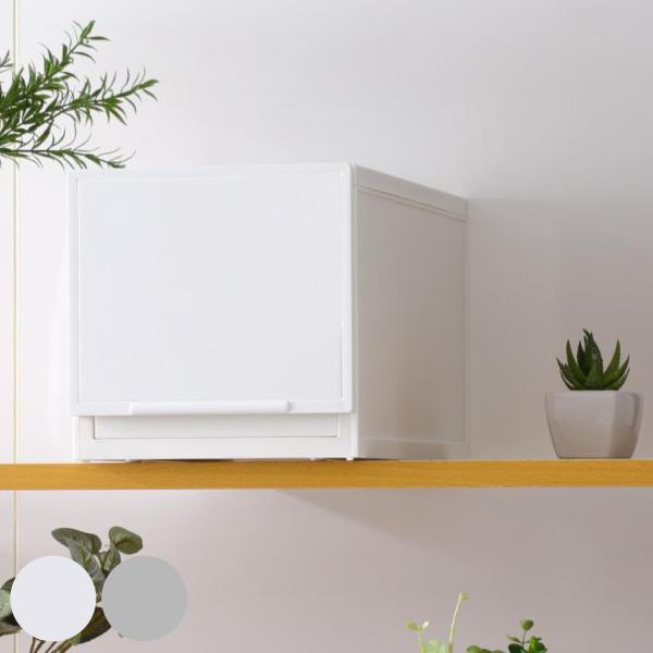 収納ケース 幅18.8×奥行35.8×高さ18.8cm コレクトケース Mスリム 1段 squ＋ （...