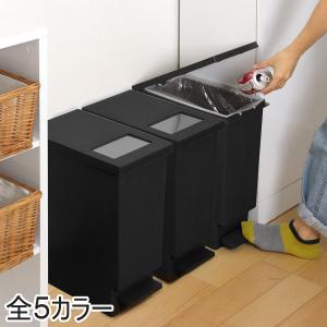 Hailo（ハイロ） エコトリオプラスL ゴミ箱 27L 四角型 ステンレス