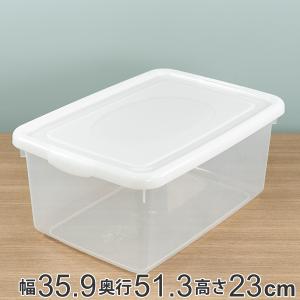 収納ケース 幅35.9×奥行51.3×高さ23cm フタ付き プラスチック 収納ボックス （ クローゼット収納 ベッド下 ふた付き 収納 衣装ケース 衣類収納 日本製 ）｜interior-palette