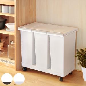 アスベル（ASVEL） ゴミ箱 60L 資源ゴミ 横型 3分別ワゴン （ ごみ箱