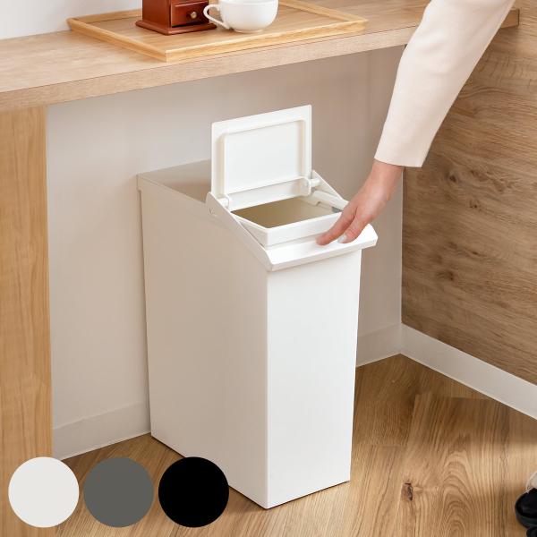 特典付き ゴミ箱 30L 同色2個セット TOSTE レバーオープン （ ごみ箱 トステ 30リット...