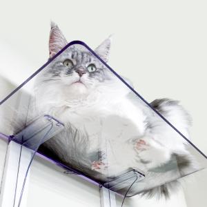 キャットステップ Cat Steps 壁 ワイドステップ 透明 クリア キャットウォーク （ キャットタワー ネコ ステップ ねこ 猫 ）｜interior-palette