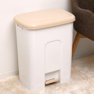 ゴミ箱 45L ペダルペール （ 45 リットル 45l ふた付き キッチン ごみ箱 ペダル式 分別 袋止め フック 横開き ）