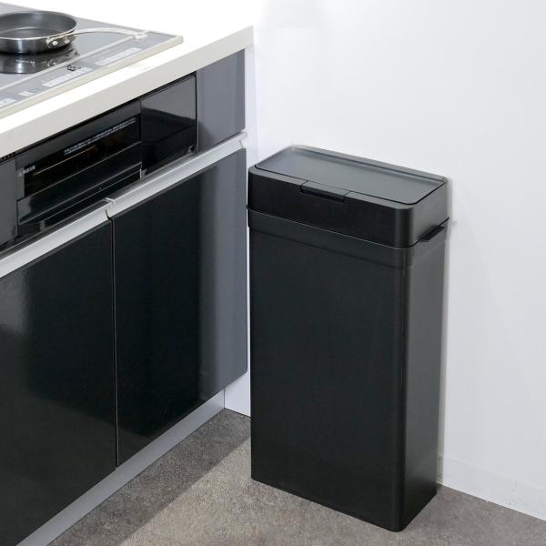 ゴミ箱 25L シールズ 抗菌仕様 （ ごみ箱 25リットル ダストボックス 抗菌 ふた付き 分別 ...