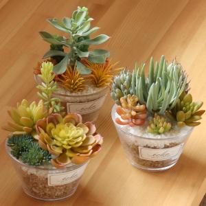 フェイクグリーン エクリア 消臭アーティフィシャルグリーン Lサイズ （ 観葉植物 フェイク 人工観葉植物 多肉植物 CT触媒 消臭 防汚 抗菌 造花 風水 ）