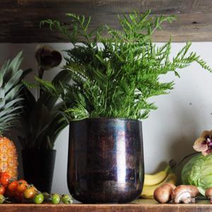 植木鉢 AM5ベース アルミ 直径17.5×高さ19cm （ プラントポット 植物用ポット 花器 鉢カバー ポット 花瓶 ）｜interior-palette
