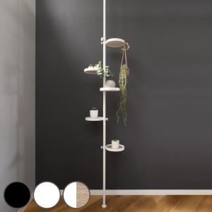 HAGiHARA 突っ張りポールラック 丸型トレイ5個 高さ調整 見せる収納